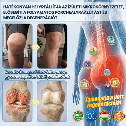 HIVATALOS WEBÁRUHÁZ | FFBSI® 0,27 mm-es Nano Mikrotűs METABOLIKUS Testsúlykezelő és Nyiroktámogató Tapasz