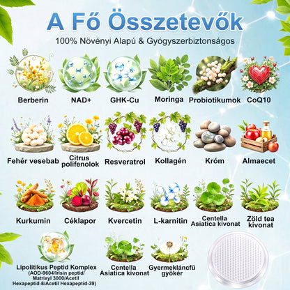 HIVATALOS WEBÁRUHÁZ | FFBSI® 0,27 mm-es Nano Mikrotűs METABOLIKUS Testsúlykezelő és Nyiroktámogató Tapasz